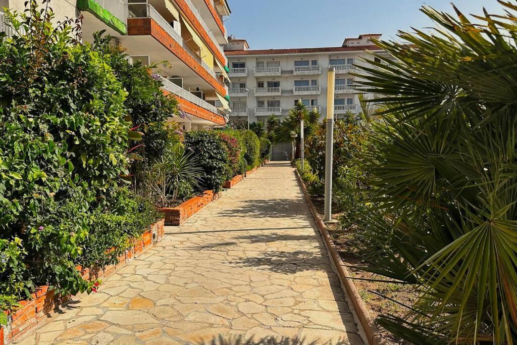 Apartamento Acogedor , ブラナス エクステリア 写真