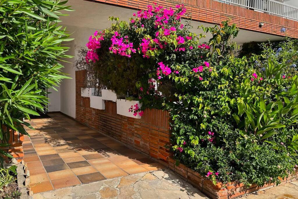 Apartamento Acogedor , ブラナス エクステリア 写真